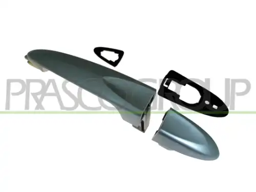 Ручка двери PRASCO LA0028007