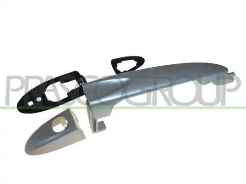 Ручка двери PRASCO LA0028008