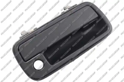 Ручка двери PRASCO SZ0488001