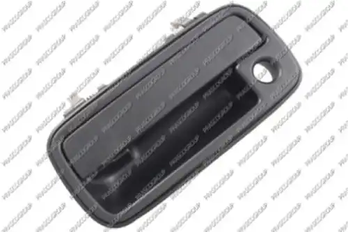 Ручка двери PRASCO SZ0488002