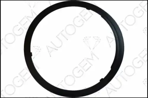 Прокладка глушителя AUTOGEM CEG9572