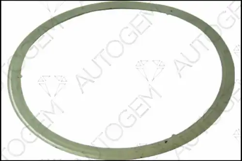 Прокладка, катализатор ! CEG4701 AUTOGEM