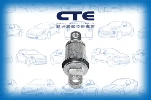 Рычаг подвески CTE CBH36001