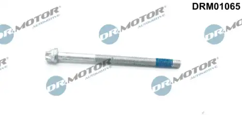 Болт, крепление форсунки DRM01065 DR. MOTOR