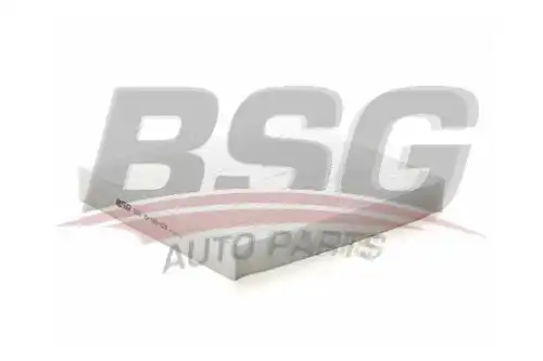 Салонный фильтр BSG BSG 30-145-024