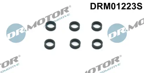 Кольцо уплотнительное форсунки DR. MOTOR DRM01223S