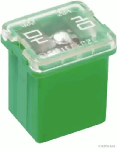 Предохранитель 50295333 HERTH+BUSS