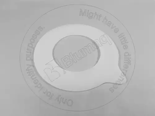 ШАЙБА 1661486 BLUMAQ