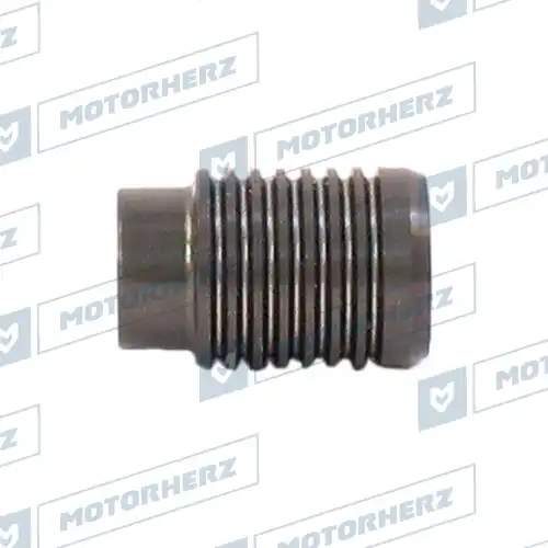 Клапан насоса ГУР HPP1019VP MOTORHERZ