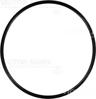 Уплотнительное кольцо 40-76166-00 VICTOR REINZ