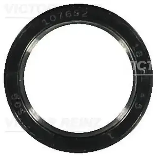813591300 VICTOR REINZ