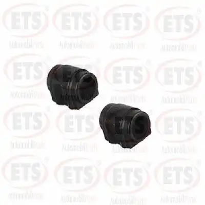 Рычаг подвески ETS 12.TK.301