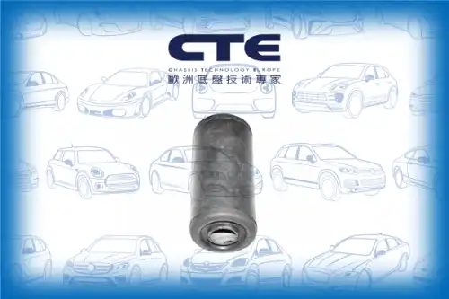 Рычаг подвески CTE CBH05003