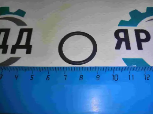 Кольцо 021-025-25-2-1 YAMZ