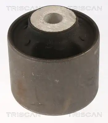 Рычаг подвески TRISCAN 8500 81803