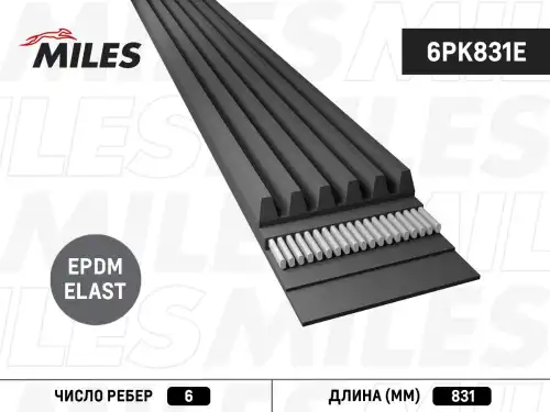 Эластичный ремень MILES 6PK831E EPK , 831 мм