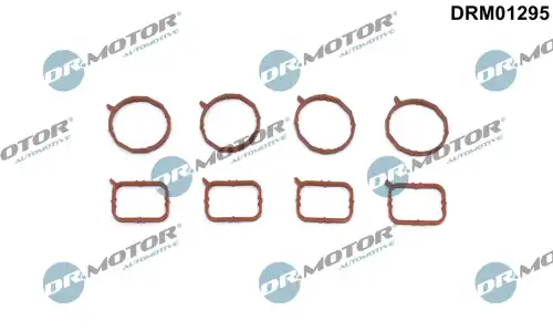 DR. MOTOR DRM01295