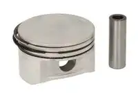 Поршень ENT050507 STD ENGITECH
