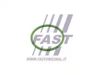 Прокладка, впуск в турбину (компрессор) FT48803 FAST
