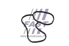 Автодеталь FT48941 FAST