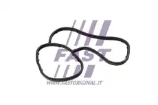 Автодеталь FT48941 FAST