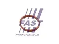 Прокладка коллектора FAST FT49418