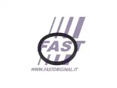 Уплотнительное кольцо FT49854 FAST