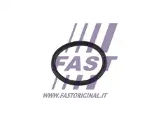 Уплотнительное кольцо FT49854 FAST