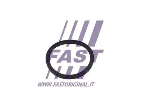 Уплотнительное кольцо FT49854 FAST