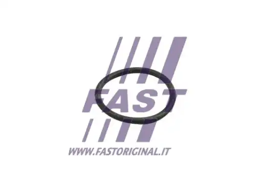 Кольцо уплотнительное автомобильное FAST FT49918