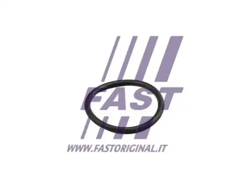 Уплотнительное кольцо FT49919 FAST