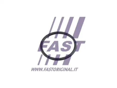 Прокладка, трубопровод охлаждаю FT49920 FAST
