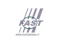 Автозапчасть FT49921 FAST
