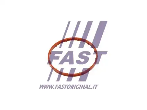 Прокладка, вакуумный насос FT50701 FAST