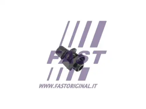 Болт воздушного клапана / вентиль, радиатор FT55870 FAST