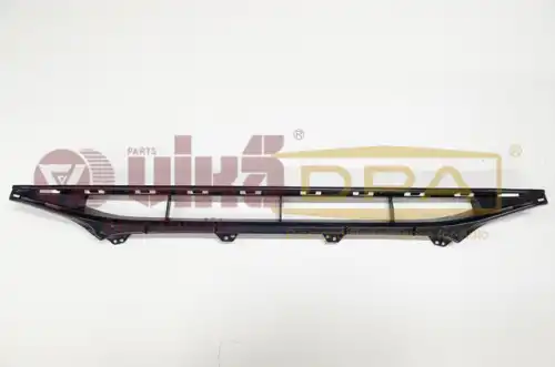Решетка бампера DPA 88071816202
