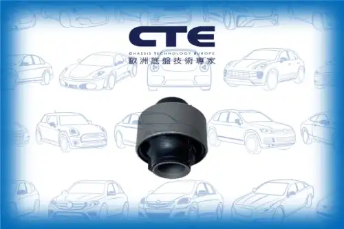 Рычаг подвески CTE CBH02076