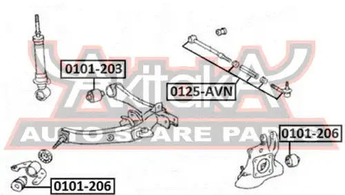 ASVA 0125-AVN
