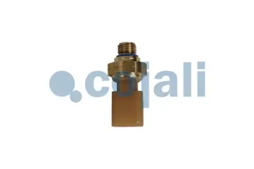 Датчик 2262049 COJALI
