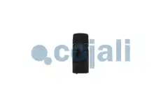 Выключатель, стеклолодъемник 2264025 COJALI
