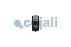 Выключатель, стеклолодъемник 2264025 COJALI