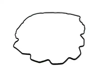 Прокладка ГБЦ JEEP 5114 418AA