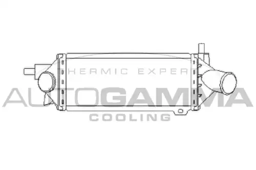 Интеркулер AUTOGAMMA 101512
