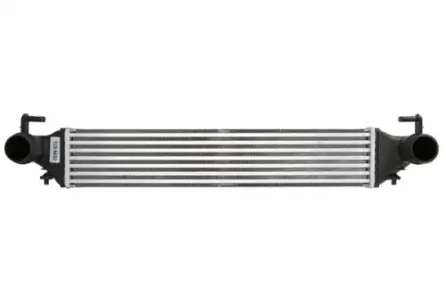 Интеркулер THERMOTEC DAF019TT