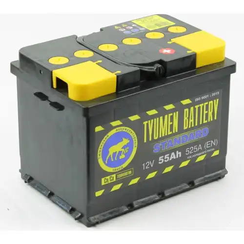 Аккумулятор TYUMEN BATTERY TNS55.0