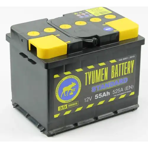 Аккумулятор TYUMEN BATTERY TNS55.1