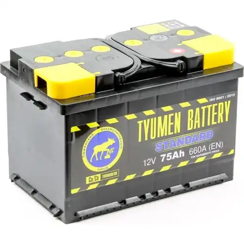 Аккумулятор TYUMEN BATTERY TNS75.0