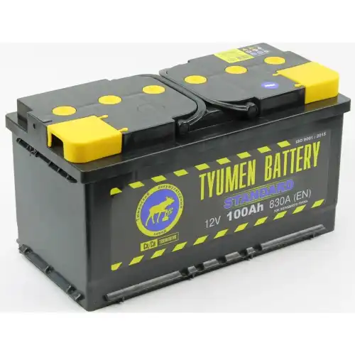 Аккумулятор TYUMEN BATTERY TNS100.1