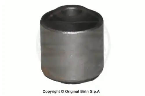 Рычаг подвески BIRTH 2090