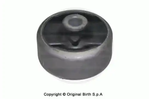 Рычаг подвески BIRTH 2189